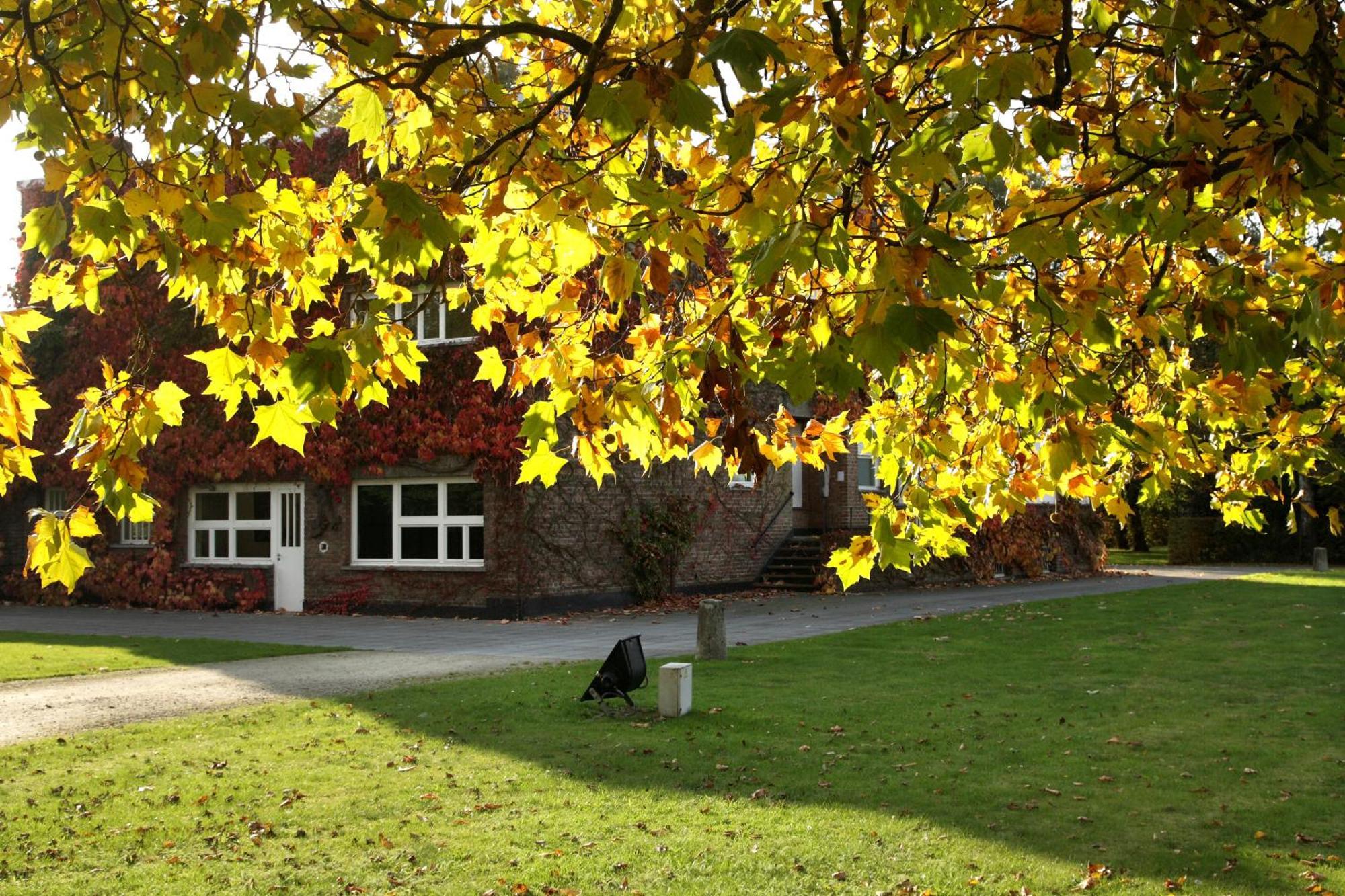 B&B Lievejan Jabbeke (West-Flanders) Exterior foto